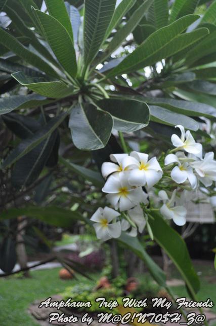 DSC_0723_resize.jpg